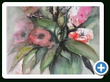 272Anemonen