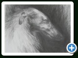 Barsoi_Graphit