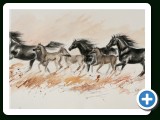 Rappstutenherde Aquarell